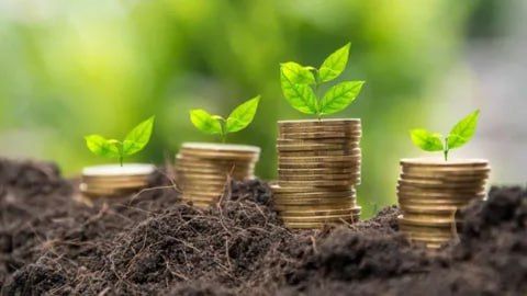 Предприятия агропромышленного комплекса ЛНР с 2023 года привлекли свыше 2,5 млрд руб