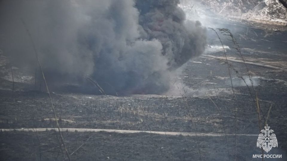 Спасатели МЧС России не допустили масштабного пожара в Станично-Луганском районе Спасатели МЧС России не допустили масштабного пожара в Станично-Луганском районе