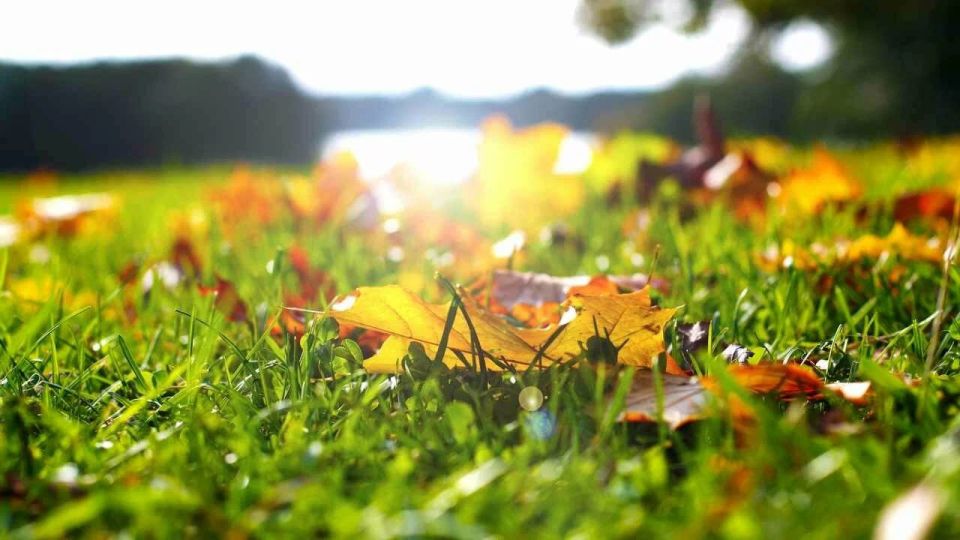 Луганский государственный педагогический университет разработает медиаконтент по региональной истории Луганский государственный педагогический университет разработает медиаконтент по региональной истории