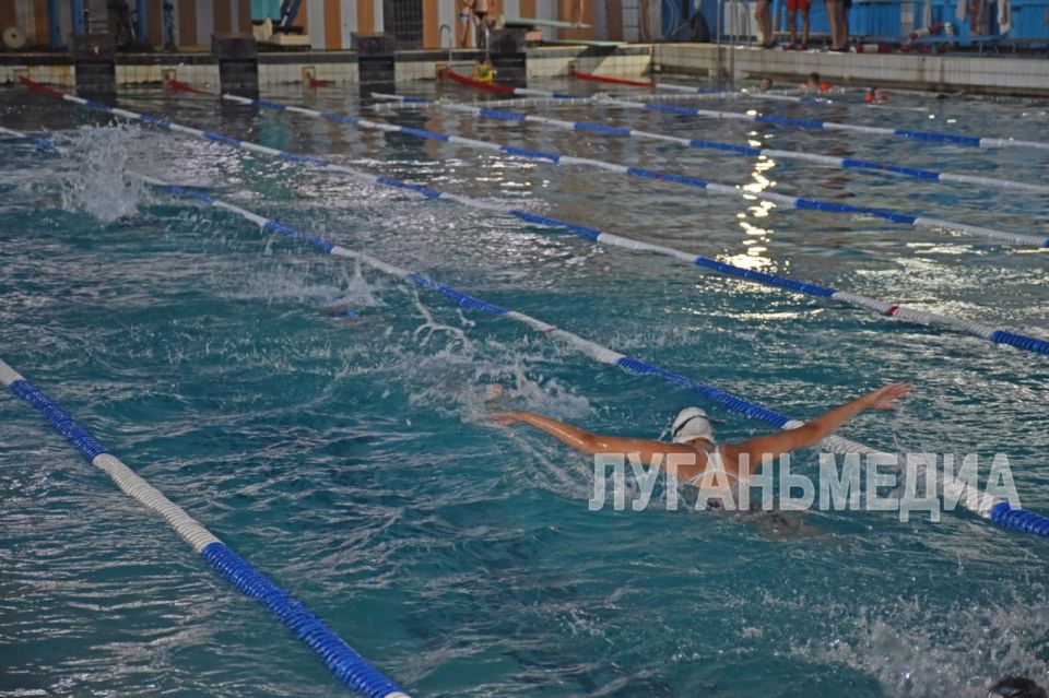 Когда вода становится роднее суши – в луганской спортивной школе «Юность» растят чемпионов Когда вода становится роднее суши – в луганской спортивной школе «Юность» растят чемпионов