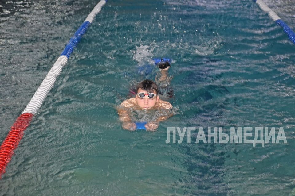Когда вода становится роднее суши – в луганской спортивной школе «Юность» растят чемпионов Когда вода становится роднее суши – в луганской спортивной школе «Юность» растят чемпионов