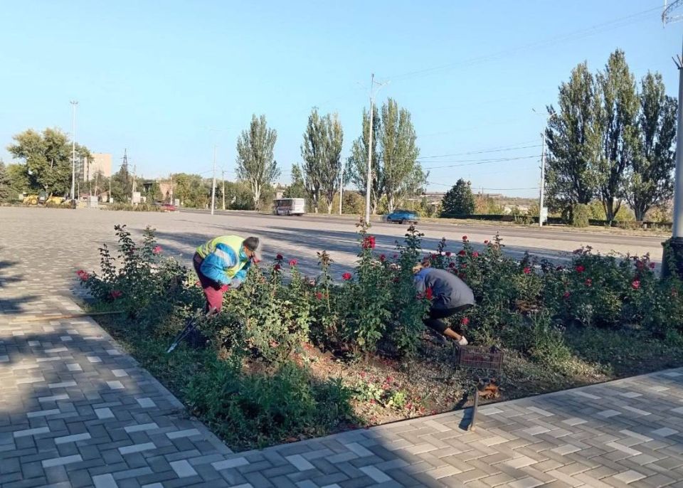 ������������ ������ �������� ������ �� ���������� ������