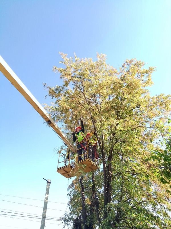 ������� �������: ���� � ������� ��������� ���������� ��������� ��������� � ������� � ��������������� �����������