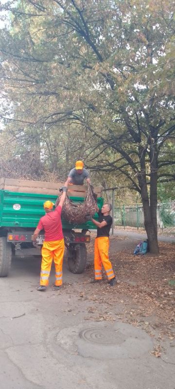 � ������� ���� ������� ������� ������ �� ���������������