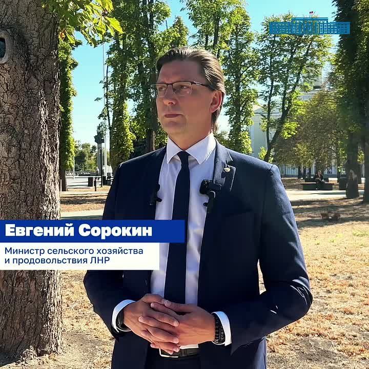 Топливный кризис не затронул ход уборочной и посевной в ЛНР