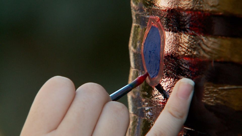 ������ ���-����������� ���� ������� ������� � ���������� � ������ ������� ���� ��������