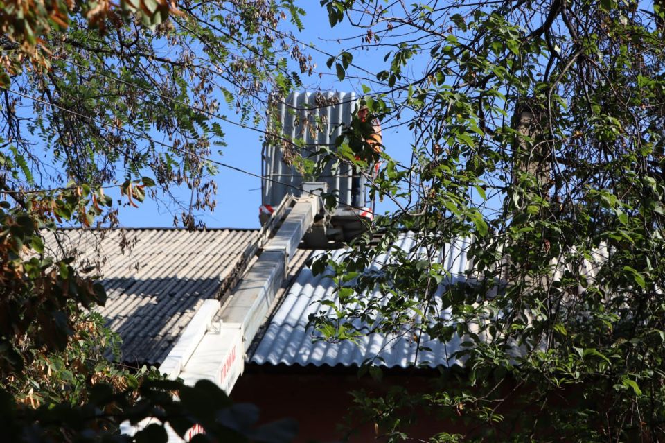 ������� �������: ��������� � ���������� ������������ ������� ��� ��� ������� ���������� ������� �� ����� ���������������� ���� ������� �����, ���, �������� ������� �������,������������� ������� ������ ������