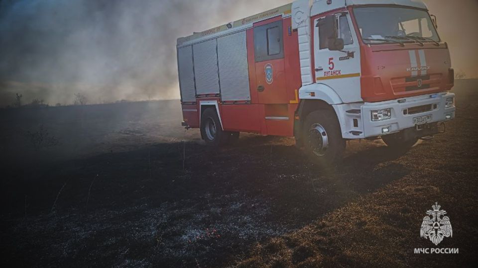 Спасатели МЧС России ликвидировали масштабный пожар на открытой местности в Лутигинском районе Спасатели МЧС России ликвидировали масштабный пожар на открытой местности в Лутигинском районе