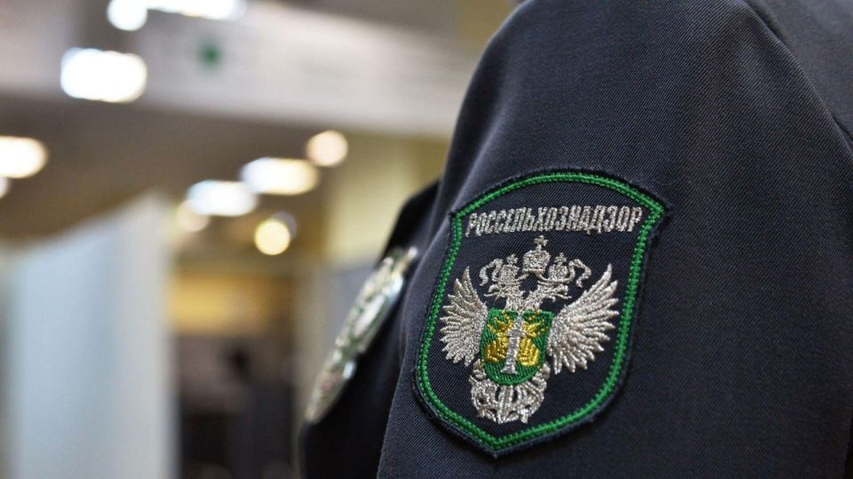 Экстренное предупреждение по ЛНР Экстренное предупреждение по ЛНР