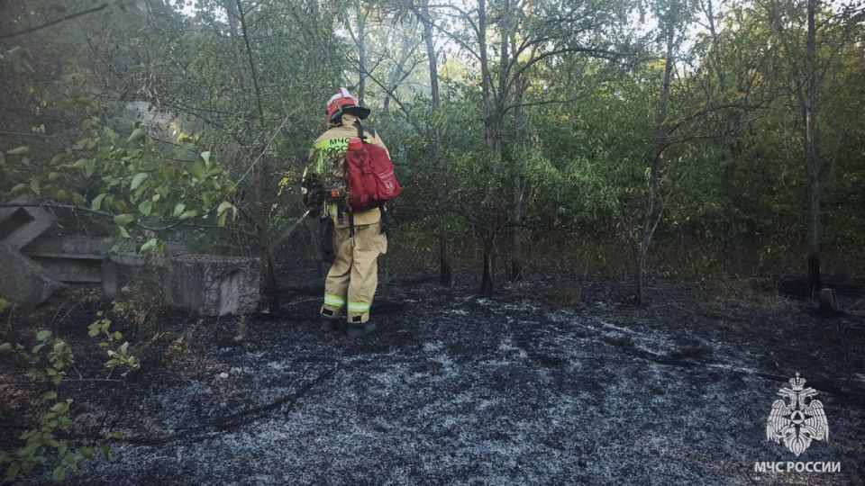 И вновь продолжается бой с пожарами в экосистеме И вновь продолжается бой с пожарами в экосистеме
