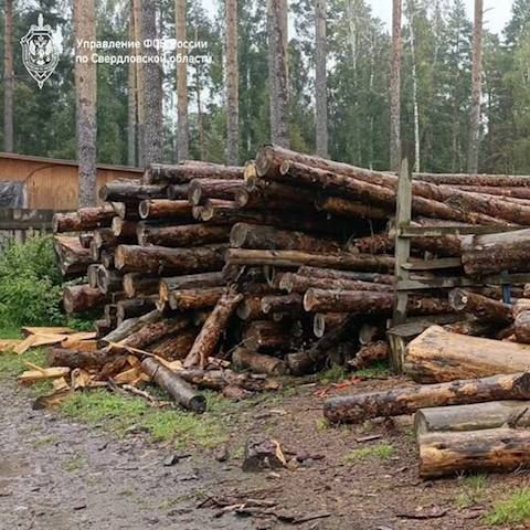 ������������ �������� ������� ���������-����������� � �������