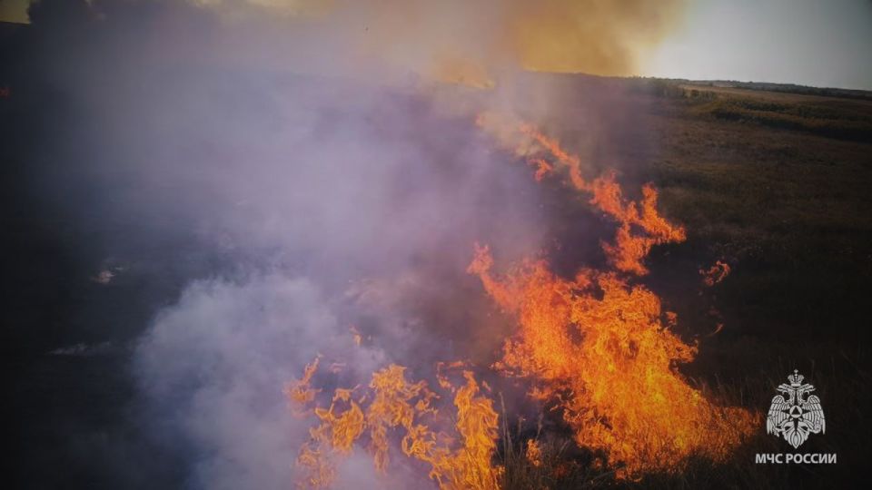 � ����������� ������ ������������ ���������� ��������� �����