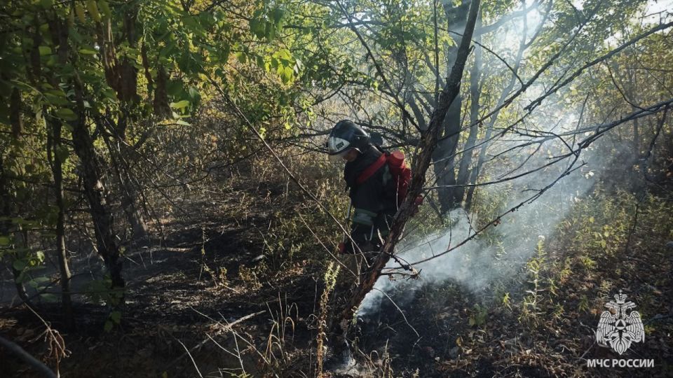 И вновь продолжается бой с пожарами в экосистеме
