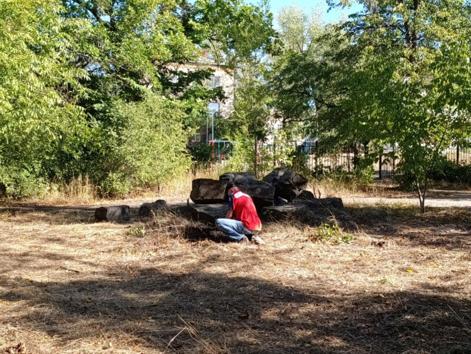 �������� ������������: ��� ��������� ������� ��������� � 115-�����