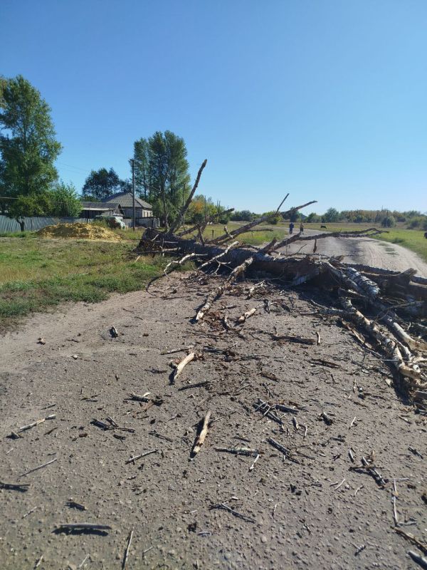 Владимир Чернев: Ко мне обратились жители села Шульгинка с просьбой устранить сухое аварийное дерево, которое могло представлять угрозу в случае непогоды или падения Владимир Чернев: Ко мне обратились жители села Шульгинка с просьбой устранить сухое аварийное дерево, которое могло представлять угрозу в случае непогоды или падения