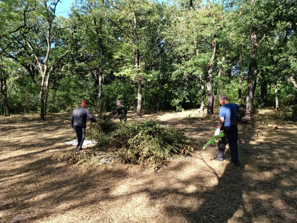 �������� ������������: ��� ��������� ������� ��������� � 115-�����