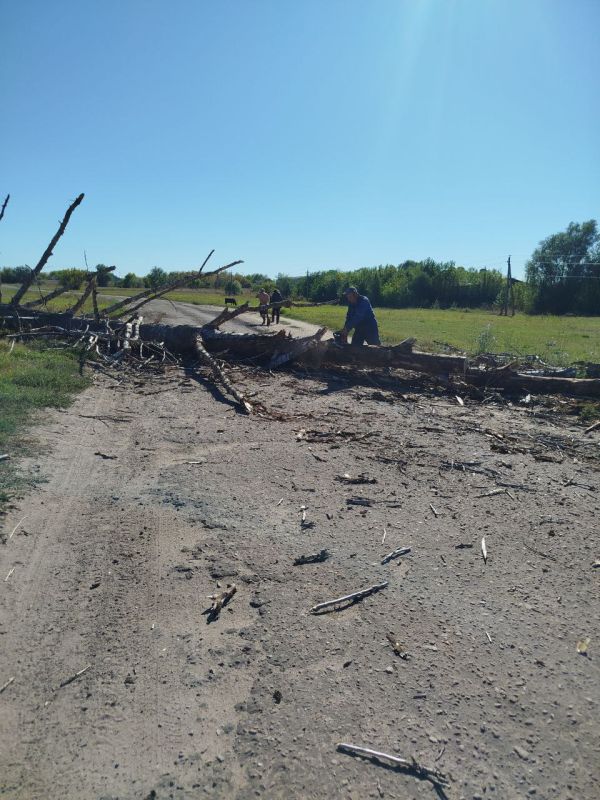Владимир Чернев: Ко мне обратились жители села Шульгинка с просьбой устранить сухое аварийное дерево, которое могло представлять угрозу в случае непогоды или падения Владимир Чернев: Ко мне обратились жители села Шульгинка с просьбой устранить сухое аварийное дерево, которое могло представлять угрозу в случае непогоды или падения