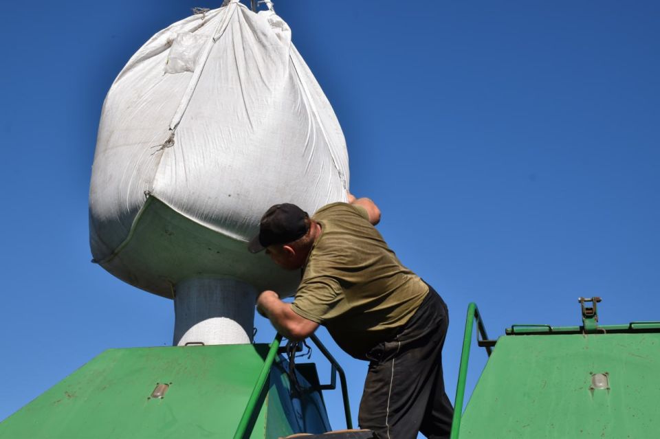 ��� ����� ������� ��������