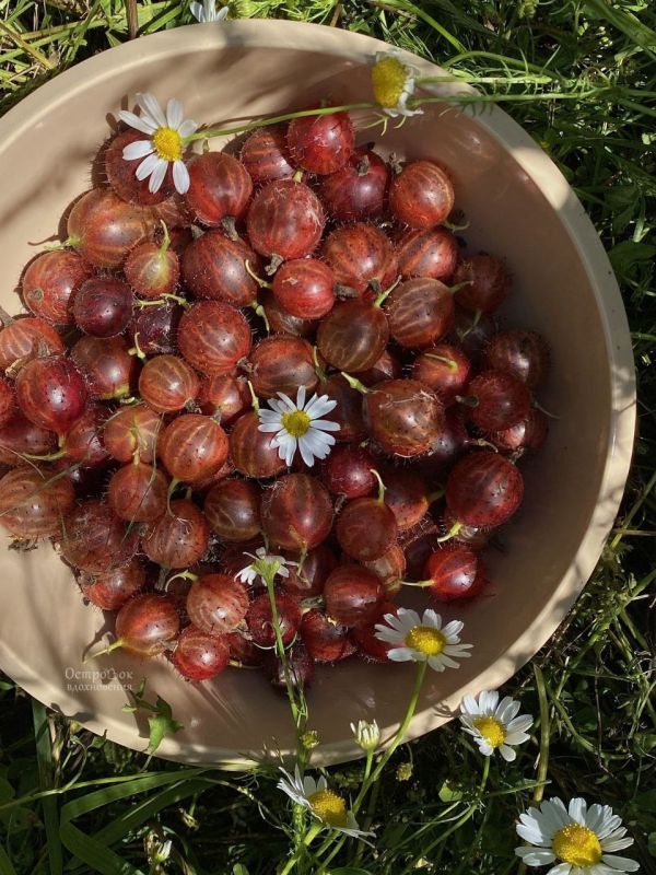 ����, ������ ����!. �������� ������� 12 �������� ����������� �� ��������� ���! ���� � ���� ���������� (+11�...+17�), �� ��� ���!