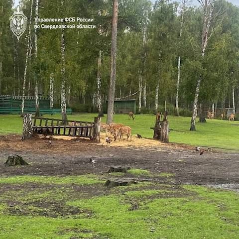 ������������ �������� ������� ���������-����������� � �������