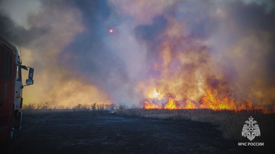 Спасатели МЧС России ликвидировали масштабный пожар на открытой местности в Лутигинском районе Спасатели МЧС России ликвидировали масштабный пожар на открытой местности в Лутигинском районе