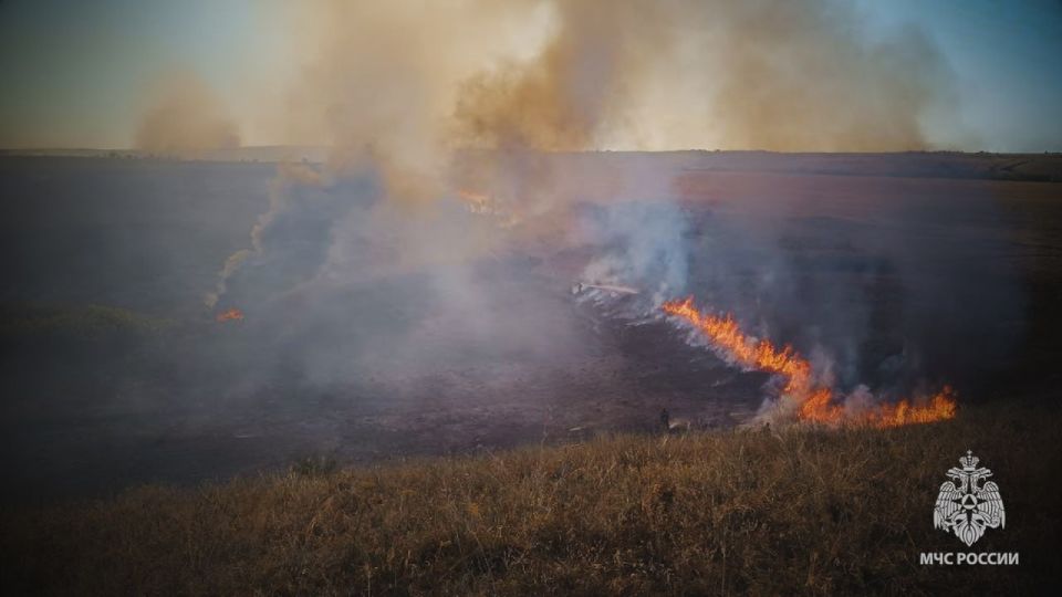 � ����������� ������ ������������ ���������� ��������� �����