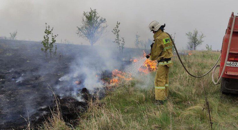 Чрезвычайная пожароопасность ожидается в центральных районах ЛНР 12–13 сентября