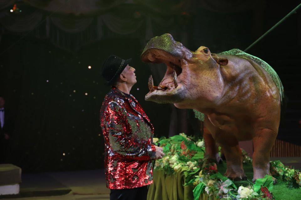 «Тропик шоу» с бегемотом Юлианой: в Луганске стартовали новый цирковой сезон «Тропик шоу» с бегемотом Юлианой: в Луганске стартовали новый цирковой сезон