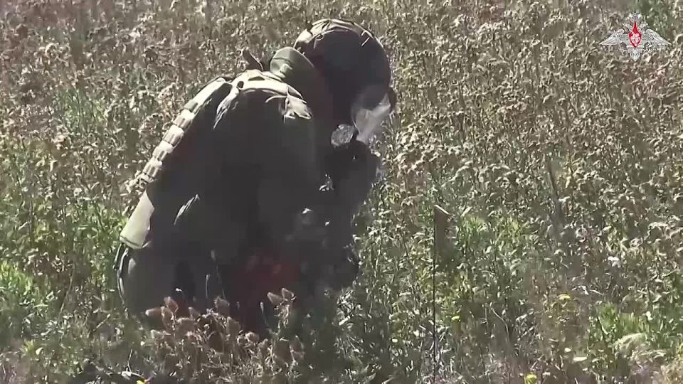 Минобороны России: Военнослужащие 92-го саперного полка группировки войск «Запад» очистили от взрывоопасных предметов более 350 гектаров территории Луганской Народной Республики