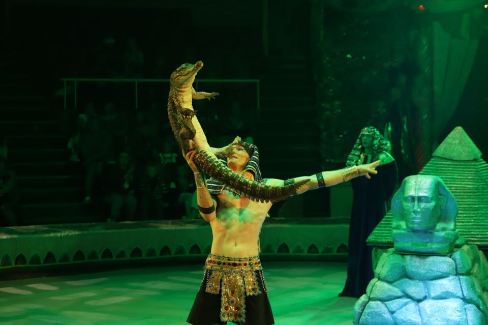 «Тропик шоу» с бегемотом Юлианой: в Луганске стартовали новый цирковой сезон «Тропик шоу» с бегемотом Юлианой: в Луганске стартовали новый цирковой сезон