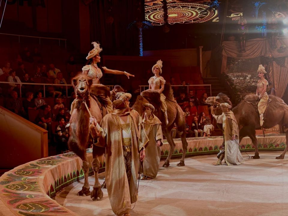 � ��������� ��������������� ����� ���������� ����� ������� ��� ��� ������������ ������������ ������� ������ ������� �������!