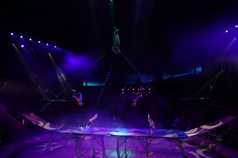 «Тропик шоу» с бегемотом Юлианой: в Луганске стартовали новый цирковой сезон «Тропик шоу» с бегемотом Юлианой: в Луганске стартовали новый цирковой сезон