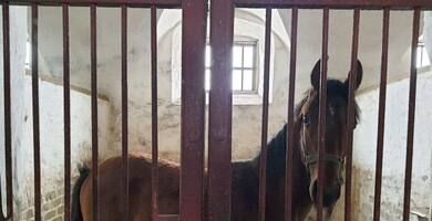 Важная информация. Министерство труда и социальной политики Луганской Народной Республики напоминает о необходимости до 01.01.2026 переоформить документы об инвалидности на российские Важная информация. Министерство труда и социальной политики Луганской Народной Республики напоминает о необходимости до 01.01.2026 переоформить документы об инвалидности на российские