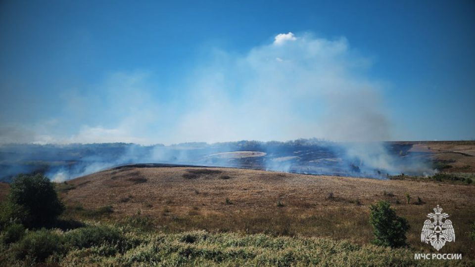 Спасатели Республики продолжают самоотверженно бороться с ландшафтными пожарами Спасатели Республики продолжают самоотверженно бороться с ландшафтными пожарами