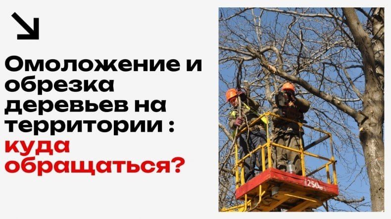 «Мой бизнес. Туристические тренды: новые горизонты» – уже скоро! «Мой бизнес. Туристические тренды: новые горизонты» – уже скоро!