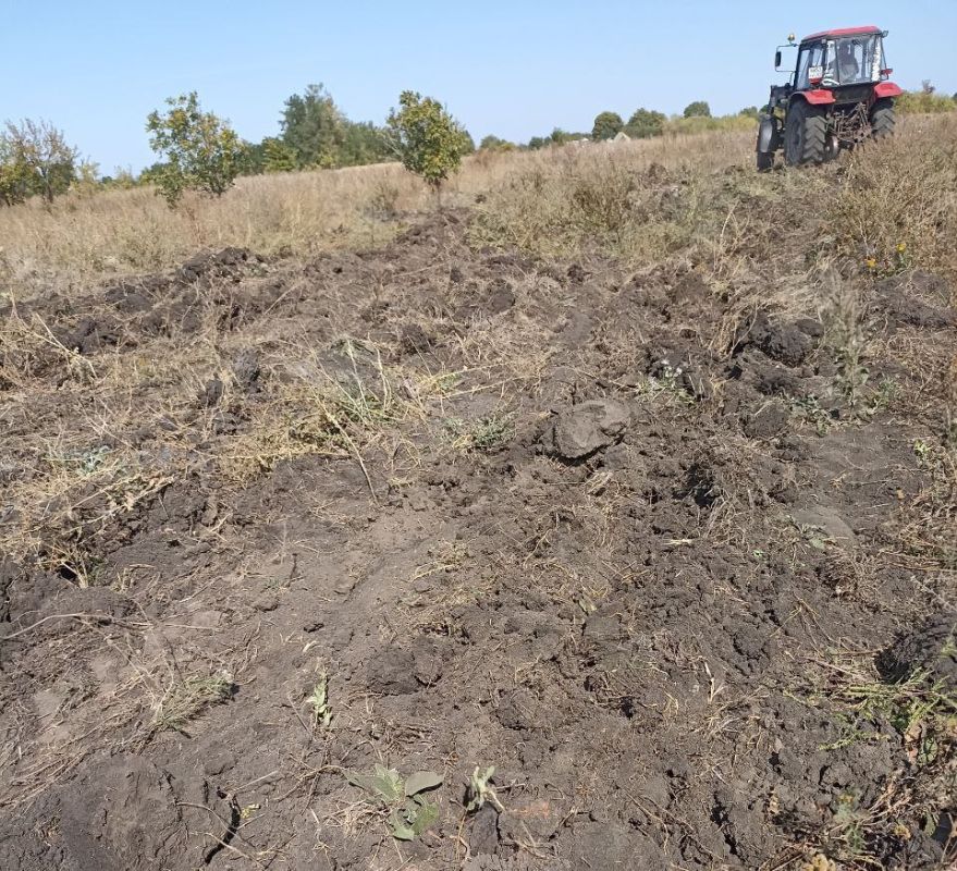 В пгт Пролетарский выполнено обновление минерализованных полос с. Чапаевка – ул. Пятихатки, пересечение улиц Октябрьская - Дружбы, пгт Пролетарский – ул. Серебрякова, подверженных ландшафтным пожарам В пгт Пролетарский выполнено обновление минерализованных полос с. Чапаевка – ул. Пятихатки, пересечение улиц Октябрьская - Дружбы, пгт Пролетарский – ул. Серебрякова, подверженных ландшафтным пожарам