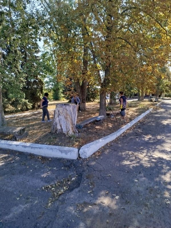 В рамках акции Зелёная Россия Нижнеольховский отдел жизнеобеспечения совместно с филиалами ДК сел Нижняя Ольховая и Камышное, библиотеки села Камышное провели субботник по уборке территории В рамках акции Зелёная Россия Нижнеольховский отдел жизнеобеспечения совместно с филиалами ДК сел Нижняя Ольховая и Камышное, библиотеки села Камышное провели субботник по уборке территории