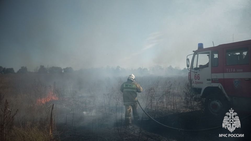 Пожары в природных зонах не сдают своих позиций Пожары в природных зонах не сдают своих позиций