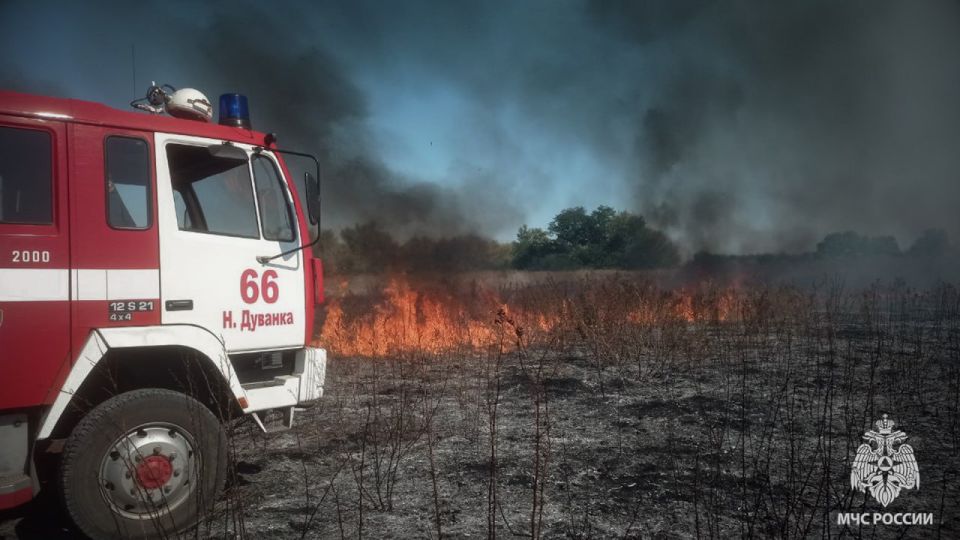 Пожары в природных зонах не сдают своих позиций