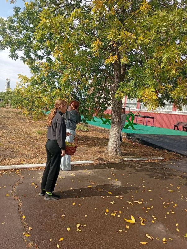 В Благовском сельском Доме культуры прошел урок творчества «Здравствуй осень, осень золотая» В Благовском сельском Доме культуры прошел урок творчества «Здравствуй осень, осень золотая»