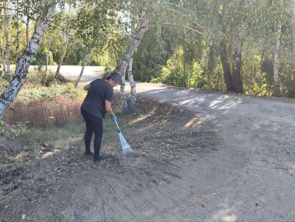 В рамках проведения Всероссийской акции «Зелёная Россия» в Старобельском муниципальном округе проведены масштабные работы по благоустройству территорий В рамках проведения Всероссийской акции «Зелёная Россия» в Старобельском муниципальном округе проведены масштабные работы по благоустройству территорий