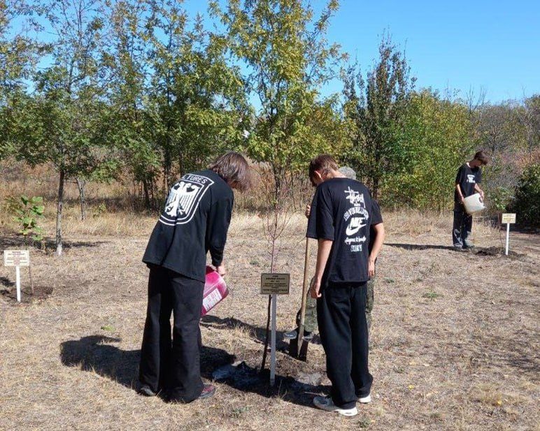 Волонтеры Краснодона благоустроили Аллею памяти в городском парке Волонтеры Краснодона благоустроили Аллею памяти в городском парке