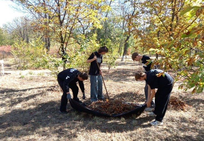 Волонтеры Краснодона благоустроили Аллею памяти в городском парке Волонтеры Краснодона благоустроили Аллею памяти в городском парке