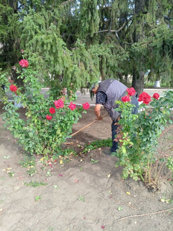 Каменка засияла чистотой благодаря "Зеленой России"! Каменка засияла чистотой благодаря "Зеленой России"!