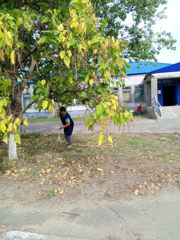 Каменка засияла чистотой благодаря "Зеленой России"! Каменка засияла чистотой благодаря "Зеленой России"!