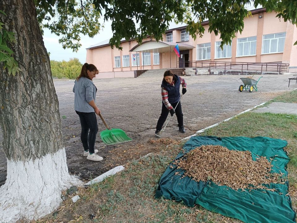 Село Новороссошь на страже чистоты и экологии: Вместе за "Зеленую Россию"! Село Новороссошь на страже чистоты и экологии: Вместе за "Зеленую Россию"!