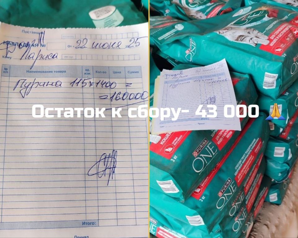 Друзья, по традиции, сегодня у нас День Стольника и мы отчаянно пытаемся закрыть последний июньский долг за корм!! Друзья, по традиции, сегодня у нас День Стольника и мы отчаянно пытаемся закрыть последний июньский долг за корм!!