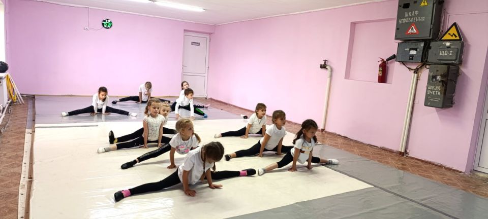 Соревнования по спортивной гимнастике Соревнования по спортивной гимнастике