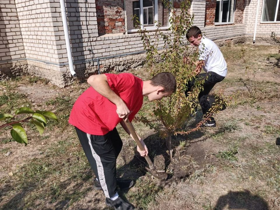 Эко-осень в Новопсковской газопроводской СШ: Вместе за чистую и зеленую Россию! Эко-осень в Новопсковской газопроводской СШ: Вместе за чистую и зеленую Россию!