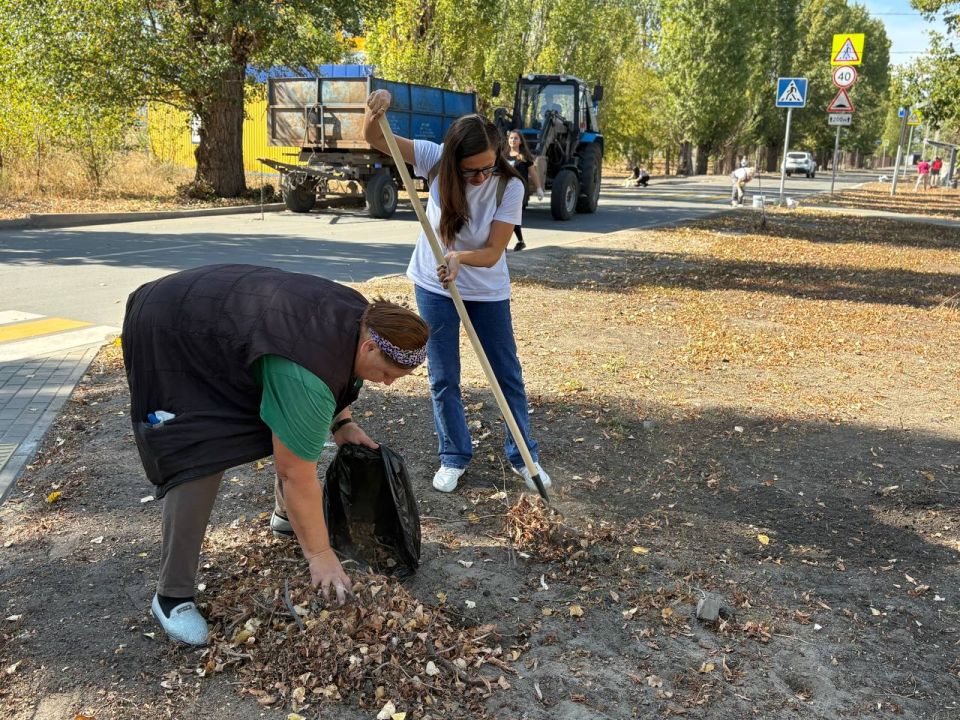 ������ ������� � ���������: ����� ��� ��������-���������� ������ ����� �� ���������